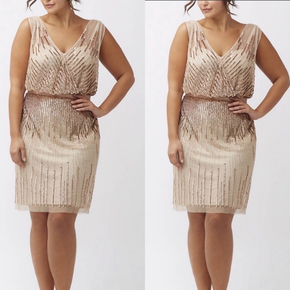 14W-24W Adrianna Papell Woman Size beaded dress - Picture 4 of 14